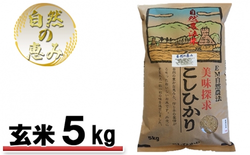 自然農法米こしひかり「自然の恵み」玄米5kg《特別栽培米》 192730 - 石川県能美市