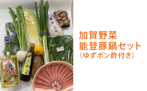 加賀の野菜能登豚鍋セット（地元ゆずポン酢付き） 詰合せ 調味料 ぽん酢 味噌 みそ  192744 - 石川県能美市