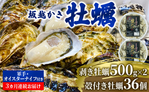 【発送月固定定期便】3ヶ月連続 坂
越かき 剥き身500g×2 殻付き36個
軍手・牡蠣ナイフ付全3回 1927794 - 兵庫県赤穂市