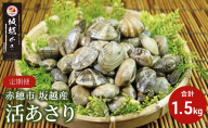 2026年３月上旬順次出荷開始【定期便３ヶ月連続お届け】兵庫県 赤穂市 坂越産 活あさり 1.5kg