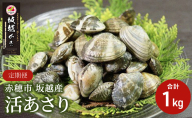 2026年３月上旬順次出荷開始【定期便３ヶ月連続お届け】兵庫県 赤穂市 坂越産 活あさり 1kg