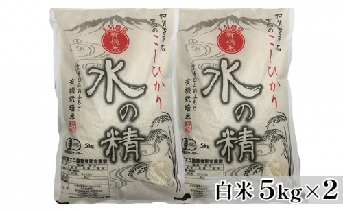 有機米こしひかり「水の精」白米5kg×2個 192787 - 石川県能美市