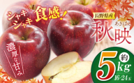 秋映5kg(16玉から24玉) | ふるさと納税 長野県 松本市 松本 信州 信州産 松本市産 果物 リンゴ りんご 秋映 フルーツ 季節限定 甘い くだもの ふるーつ