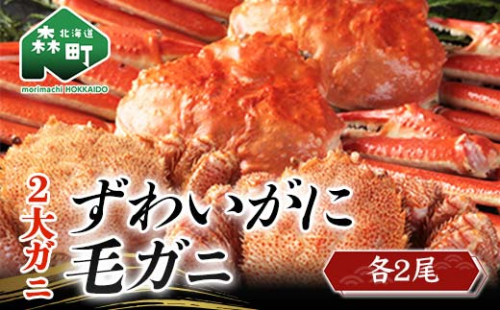 二大がに ～ずわいがに 2尾・毛がに 2尾 食べくらべセット～ かに カニ 蟹 ガニ がに 森町 ふるさと納税 北海道 毛蟹 毛かに 毛ガニ 毛カニ ズワイ蟹 ズワイガニ 食べ比べ mr1-0435 192835 - 北海道森町