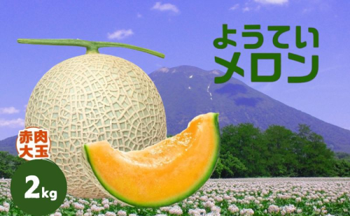 【 2025年発送 】先行予約 北海道 赤肉メロン 大玉 約2kg 1玉 メロン 赤肉 果物 フルーツ 甘い 完熟 スイーツ デザート 産直 国産 贈答品 お祝いギフト羊蹄山 JAようてい 1928469 - 北海道倶知安町