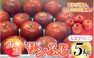 ≪12月末までの受付*無くなり次第終了≫【12月上旬より順次発送】大文字りんご（サンフジ) 大玉サイズ 約5kg (約10～12玉)  樹上完熟 りんご リンゴ 林檎 果物 くだもの フルーツ 甘い 旬 産地直送  ［dma513-sf-5D-big］