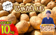 【訳あり】じゃがいも10kg（デジマ）
