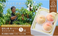 22-065-001.総社もも生産組合の桃　食べつくしライトコース【全5回】