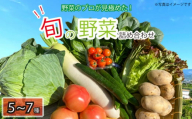 旬の野菜セット 5~7品目 詰合せ セット 旬 新鮮 季節の野菜 野菜 やさい なすび ブロッコリー キャベツ 白菜 レタス サニーレタス ほうれん草 きゅうり ピーマン とうもろこし トマト ミニトマト 大根 絹さやえんどう インゲン豆 玉ねぎ じゃがいも すだち BBQ アウトドア ギフト プレゼント 贈答 お取り寄せ グルメ 産地直送 阿波市 徳島県 ヨコタコーポレーション