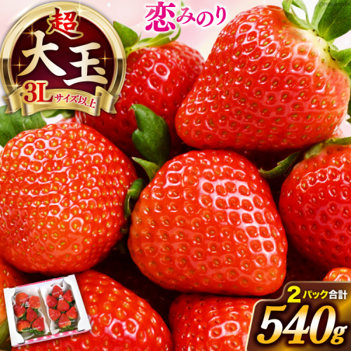 大玉限定！ いちご 恋みのり 約540g 270g 2パック 3L サイズ以上 [長崎県農産品流通 長崎県 雲仙市 item2033] イチゴ 苺 フルーツ 果物 季節限定 1929087 - 長崎県雲仙市