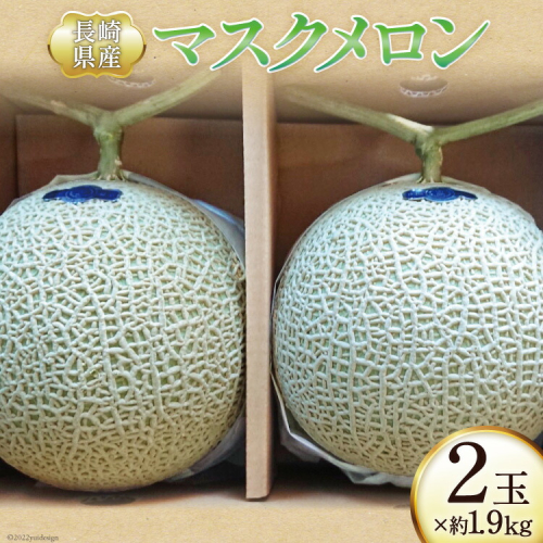 【期間限定発送】メロン マスクメロン 約1.9kg×2玉 [シミズ farm 長崎県 雲仙市 item2042] フルーツ 果物 2玉 1929326 - 長崎県雲仙市