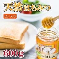 はちみつ 国産 天然 600g 純度100% 瓶入り 阿波市産 影山養蜂研究所
