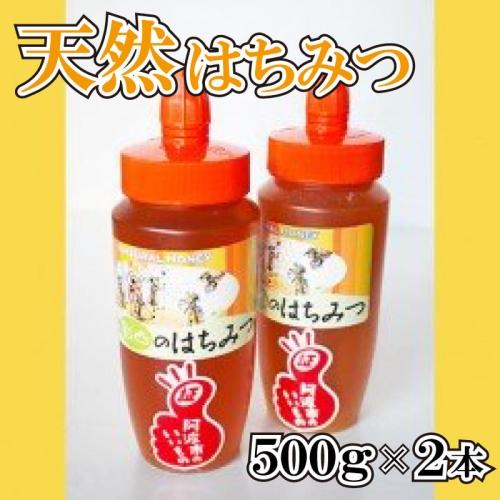 はちみつ 国産 天然 1kg 500g×2本 チューブタイプ 影山養蜂研究所 192947 - 徳島県阿波市