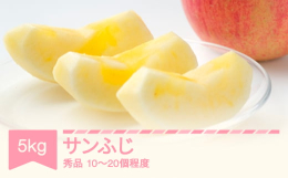 こちらの返礼品は、山形連携中枢都市圏における共通返礼品です。関係市町(山形市、寒河江市、村山市、尾花沢市、山辺町、中山町、河北町、西川町、朝日町、大江町、大石田町)内で生産されたりんごをお送りします。