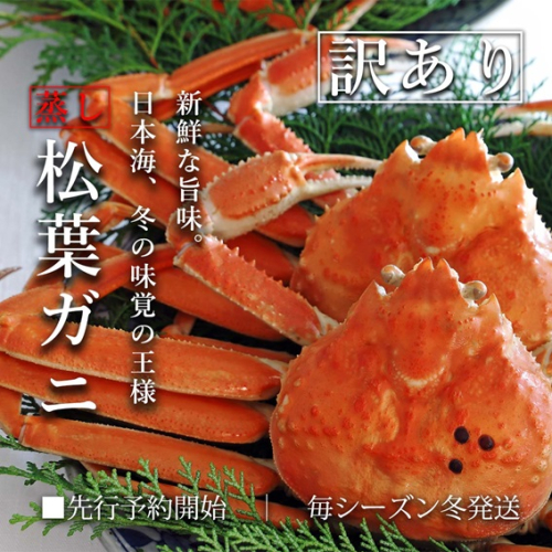 松葉ガニ 中3枚 蒸し ご自宅用 (１枚500～640ｇ前後) ずわいがに カニ 訳あり TM8 0718 192986 - 鳥取県江府町