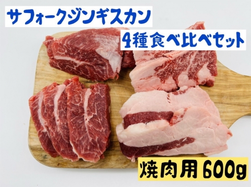 038-002 サフォークジンギスカン焼肉4種食べ比べセット600g|羊肉 ヘルシー 赤身 脂身少なめ ホゲット 希少 193006 - 長野県上田市