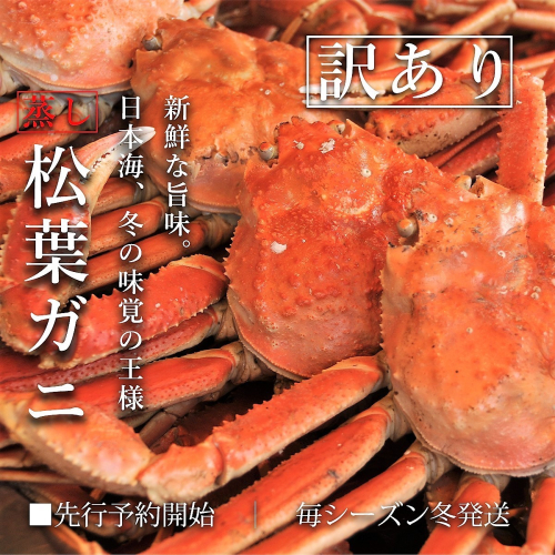 訳あり 足折れ松葉ガニ 計1.5kg前後 蒸し/ ずわいがに カニ 訳アリ TM13 0723 193054 - 鳥取県江府町
