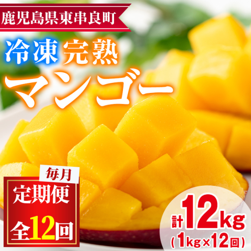 【156951】＜定期便・全12回(連続)＞鹿児島県産！南国の恵み！丸ごと冷凍完熟マンゴー(1kg×12回)果物 フルーツ 果実 冷凍 デザート 国産【甘宮】 193090 - 鹿児島県東串良町
