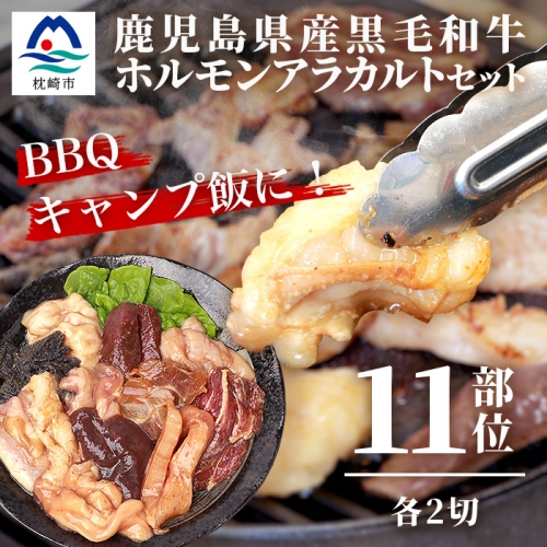 鹿児島県産黒毛和牛 ホルモン アラカルトセット 食べ比べ 11部位 焼肉屋 店主こだわり 新鮮 国産 鹿児島産 黒毛和牛 焼き肉 BBQ キャンプ飯 AA-791 193257 - 鹿児島県枕崎市