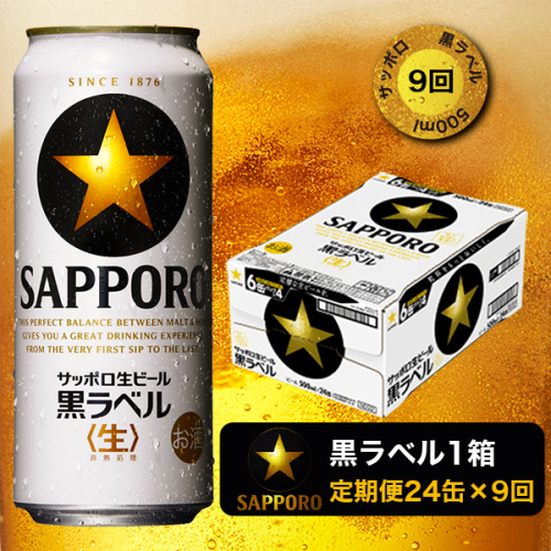 T0024-2109　【定期便9回】黒ラベルビール 500ml×1箱(24缶) 193328 - 静岡県焼津市