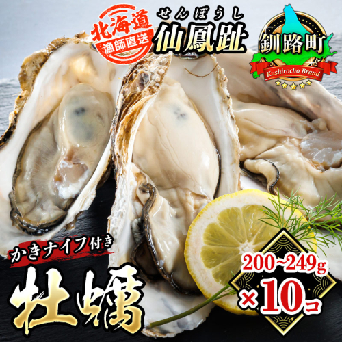 北海道 仙鳳趾名産 牡蠣 200g～249g×10コ＋かきナイフ付き 漁師直送K4