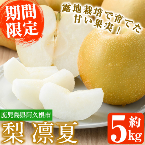 ＜先行予約受付中！2025年7月下旬以降順次発送予定＞数量限定！鹿児島県産梨＜品種：凛夏＞(約5kg・10～15個)国産 果物 くだもの フルーツ 旬 果実 ナシ なし デザート 露地栽培 りんか 凛夏 期間限定【三笠農業生産】akn051-08 193776 - 鹿児島県阿久根市