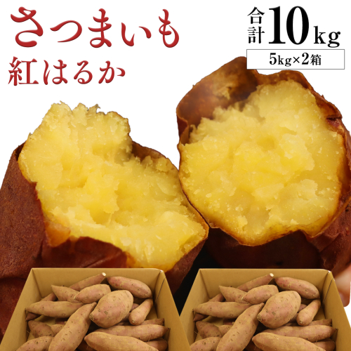 さつまいも【紅はるか】10kg（箱込）の 5kg 2箱セット さつまいも 詰合せ 国産 農園 野菜 サツマイモ 芋 期間限定 デザート スイーツ おやつ プチギフト 贈答用 料理 味噌汁 煮物 生芋 1938216 - 茨城県牛久市