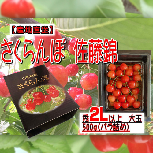 [産地直送] 大玉さくらんぼ 佐藤錦 2L以上 大玉 500g(バラ詰め)【令和8年産先行予約】FU22-122 193834 - 山形県山形市