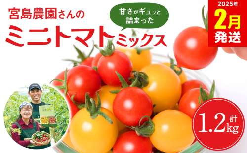 【2025年2月発送】八代市産 宮島農園 ミニトマト (ミックス)1.2kg とまと 野菜 赤トマト 黄色トマト 1939507 - 熊本県八代市