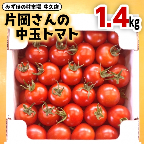 片岡さんの 中玉トマト 1.4kg 新鮮 野菜 トマト とまと 194026 - 茨城県牛久市