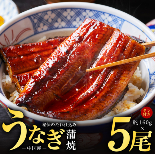 秘伝のたれ仕込み うなぎ蒲焼 合計800g（約160ｇ×5尾）鰻 ウナギ 中国産 温めるだけ 簡単 レンジ調理 ふっくらふわふわ 炭火焼き 備長炭 手焼き kgp0020 194044 - 大阪府泉佐野市