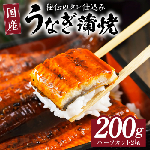 国産うなぎ ハーフカット 合計 200g 秘伝のたれ 蒲焼 訳あり 鰻 ウナギ 無頭 炭火焼き 備長炭 手焼き G1848 194046 - 大阪府泉佐野市