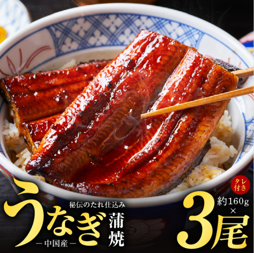 秘伝のたれ仕込み うなぎ蒲焼 合計480g（約160ｇ×3尾）鰻 ウナギ 中国産 温めるだけ 簡単 レンジ調理 ふっくらふわふわ 炭火焼き 備長炭 手焼き G1877 194054 - 大阪府泉佐野市