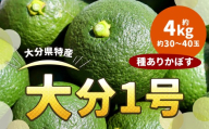 178-1250x1 大分 1号(種あり) 約4kg(約30〜40玉) カボス 青果 かぼす 柑橘 果汁 果物 大分県産 国産 九州産 [2026年12月上旬迄発送予定]