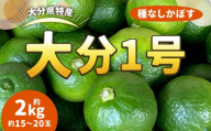 178-1251x1 祖母の香(種なし) 約2kg(約15玉〜20玉) カボス 青果 かぼす 柑橘 果汁 果物 大分県産 国産 九州産 [2026年12月上旬迄発送予定]
