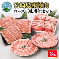 豚肉 ロース 三昧堪能 セット 3kg 冷凍 送料無料　B046