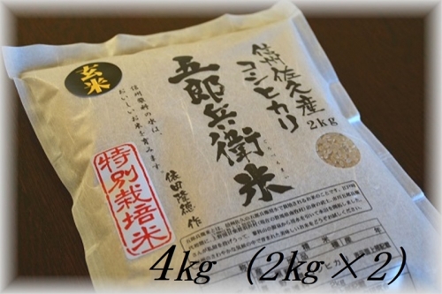 特別栽培米 五郎兵衛米 玄米 4Kg（2K×2） GG-0040 信州佐久オーガニック研究会