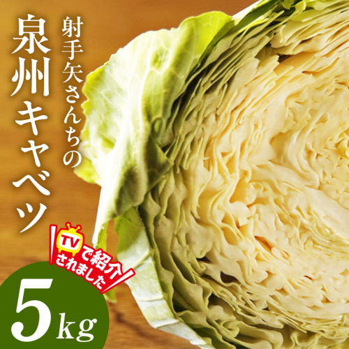 【スピード発送】泉州キャベツ 5kg 2～5玉 【新鮮 野菜 泉佐野産 やさい 射手矢農園 訳あり サイズ不揃い 高評価 数量限定 TVで紹介！】 G3684 1943524 - 大阪府泉佐野市
