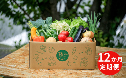 おとなりさんち厳選！浜松から鮮度抜群！旬の野菜BOX【定期便12か月分】【配送不可：沖縄・離島】 セット 詰合せ  194402 - 静岡県浜松市
