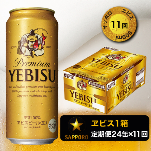 T0023-2211　【定期便11回】エビスビール500ml×1箱(24缶) 194468 - 静岡県焼津市