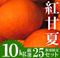 No.207 《期間限定！2022年4月15日～5月末の間に発送予定》柑橘の甘夏(あまなつ)(10kg・L～3L：11個～30個)爽やかなミカン！【つとむじぃグレープの森】