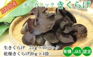 HO05：鳥取県産オーガニック生きくらげと乾燥きくらげセット