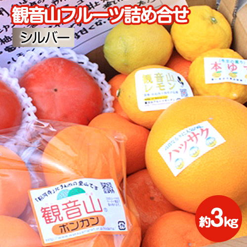 観音山フルーツ詰め合わせ(シルバー) 約3kg 有限会社柑香園 《60日以内に出荷予定(土日祝除く)》 和歌山県 紀の川市 フルーツ 果物 194686 - 和歌山県紀の川市