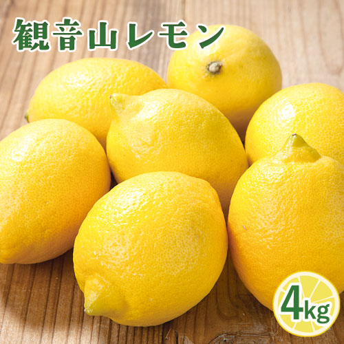 観音山レモン 4kg(30玉-40玉前後) 有限会社柑香園《2025年10月中旬-2026年3月末頃出荷》和歌山県 紀の川市 フルーツ 果物 柑橘 檸檬 レモン 194703 - 和歌山県紀の川市