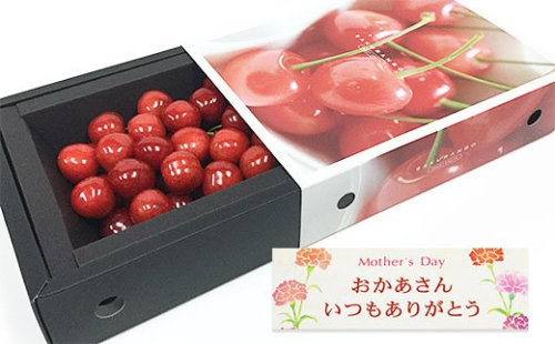 ★5月まるごと母の日★さくらんぼ 佐藤錦 スリーヴ 秀L 300g (5/15～発送)【オンライン決済限定】 FS24-677 194735 - 山形県山形市