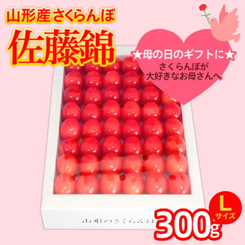 ★5月まるごと母の日★さくらんぼ 佐藤錦 Lサイズ 300g 手詰  (5/15～発送)【令和8年産先行予約】FS25-551 194736 - 山形県山形市