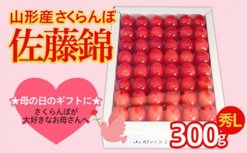 ★5月まるごと母の日★さくらんぼ 佐藤錦 秀L 300g 手詰  (5/15～発送)【オンライン決済限定】 FS24-679 194736 - 山形県山形市