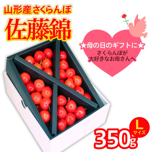 ★５月まるごと母の日★さくらんぼ 佐藤錦 Lサイズ 350g (5/15～発送)【令和8年産先行予約】 FS25-550 194737 - 山形県山形市