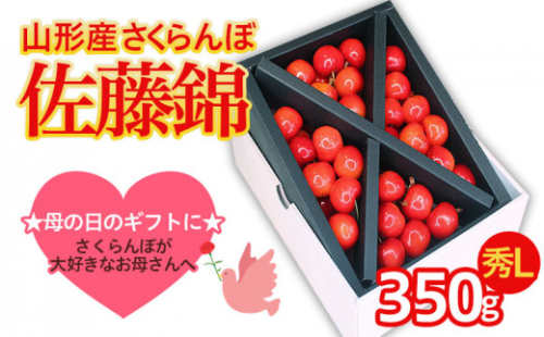 ★５月まるごと母の日★さくらんぼ 佐藤錦 秀L 350g (5/15～発送)【オンライン決済限定】 FS24-676 194737 - 山形県山形市