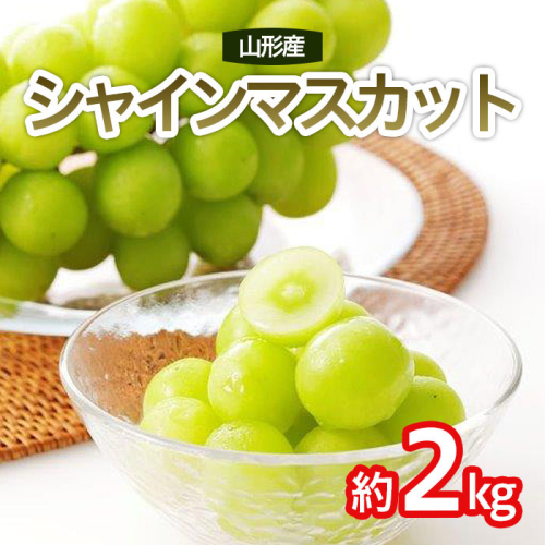 シャインマスカット 秀 約2kg(3～4房) 【令和8年産先行予約】FS25-641 194742 - 山形県山形市